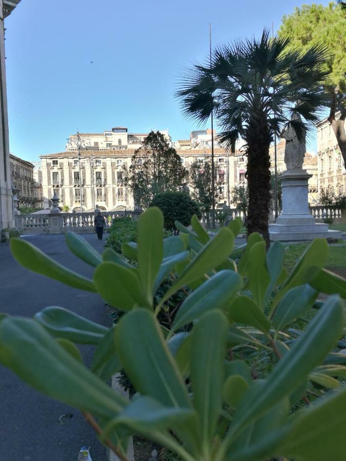 Giovanni S Little House Apartment Catania
