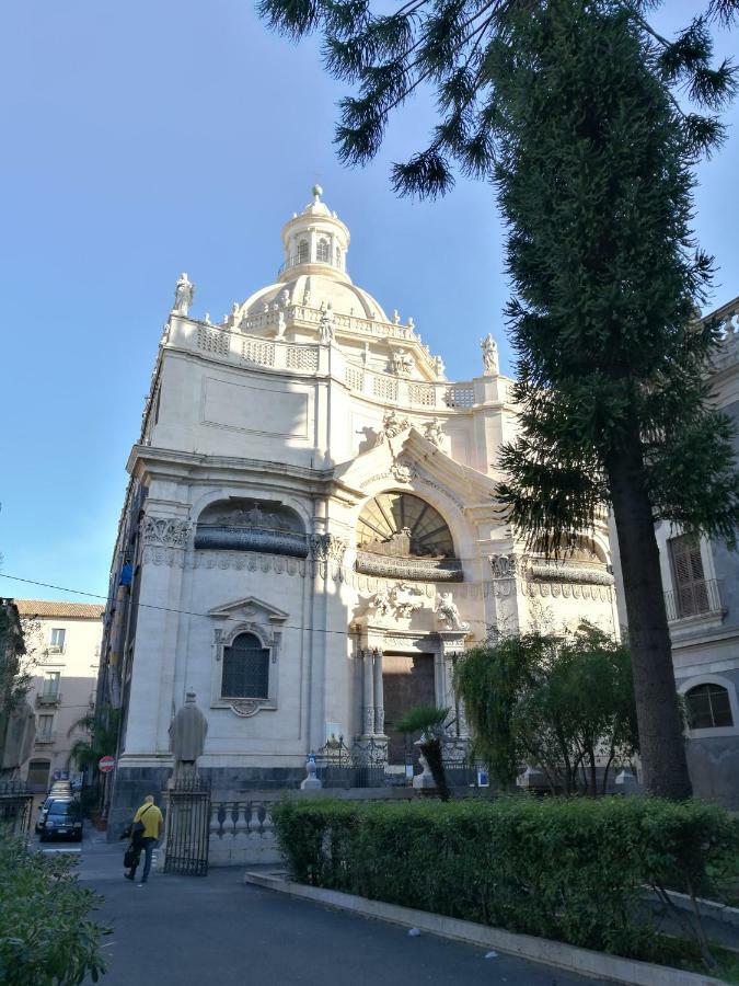 Giovanni S Little House Apartment Catania